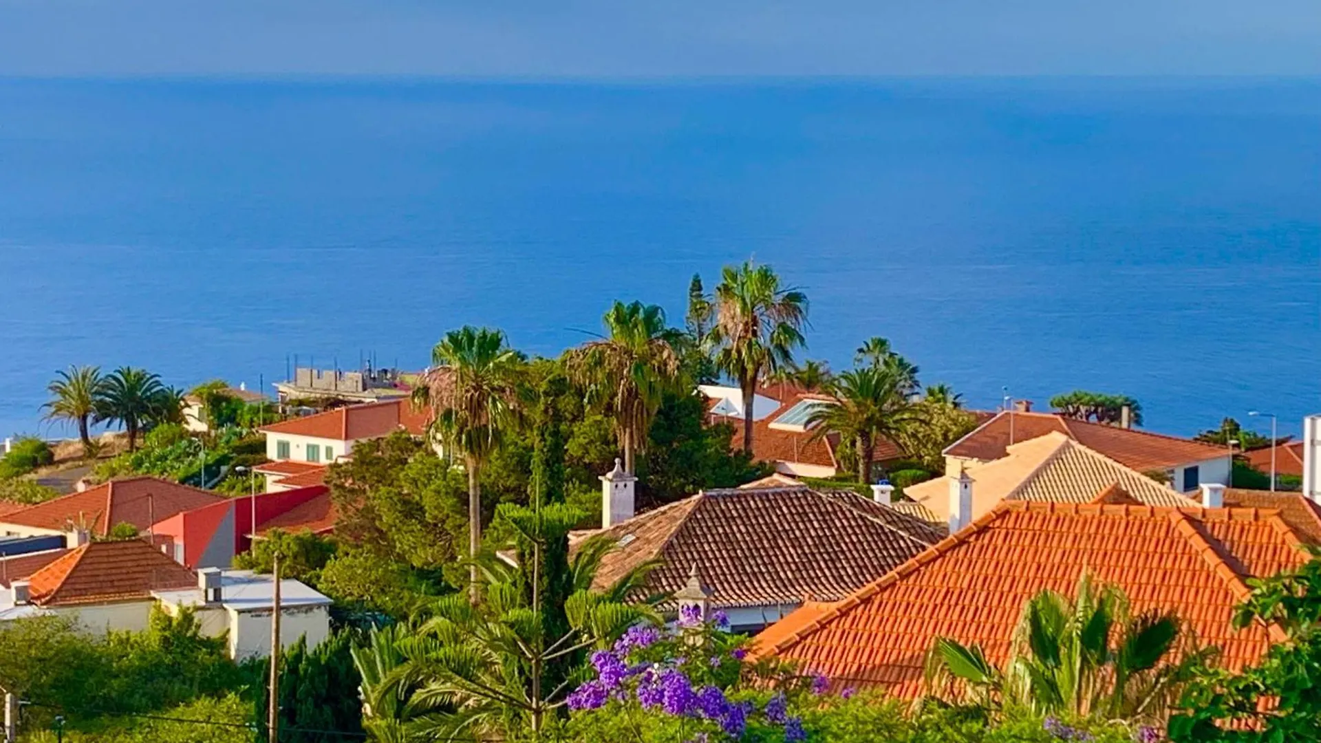 Ocean View Madeira location